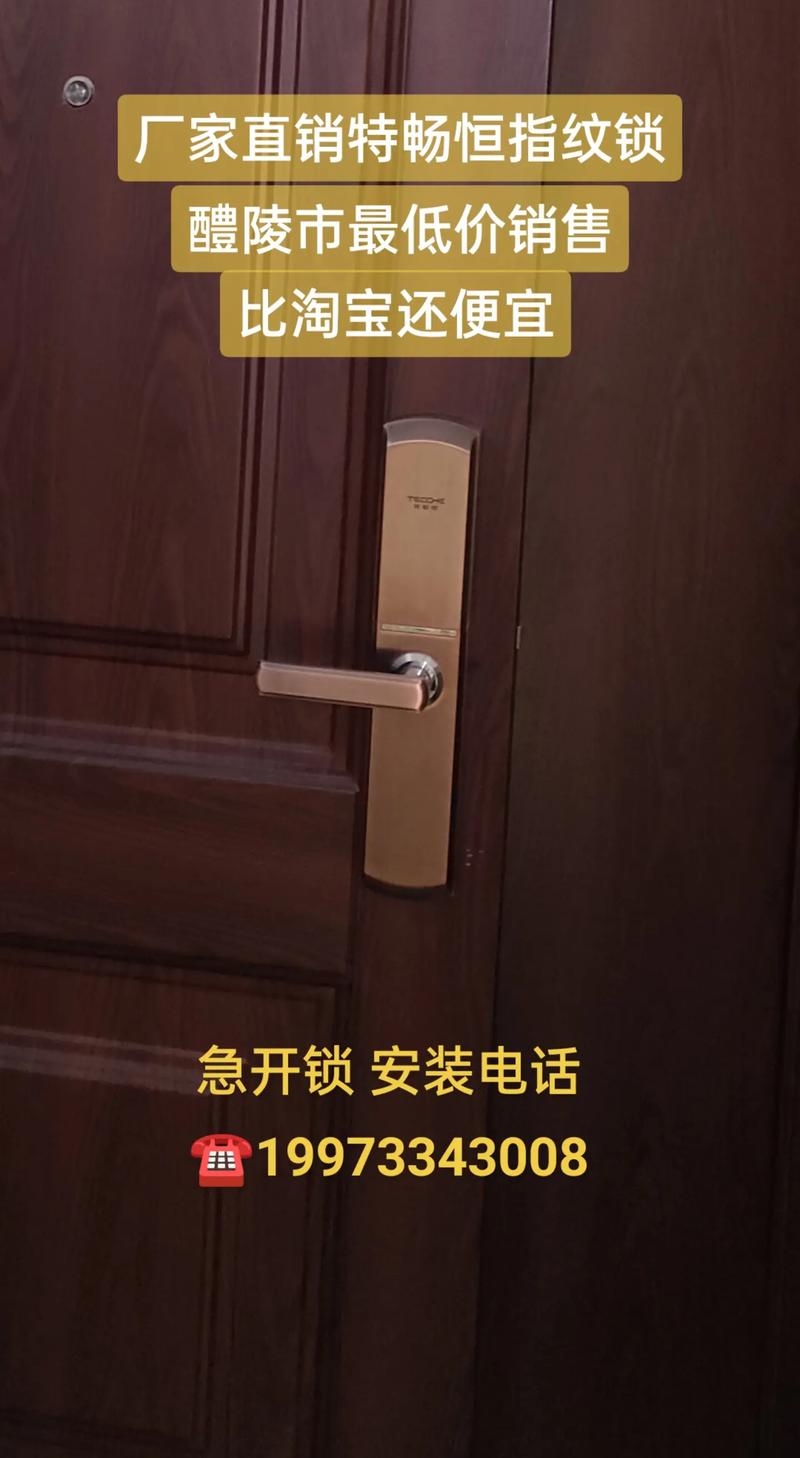 特畅恒智能锁——醴陵最低价，安全升级一步到位